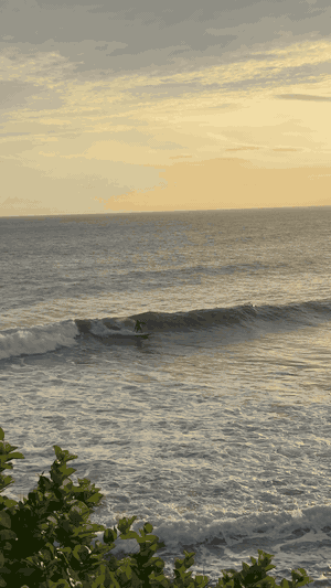 Martin surfing to recalibrate